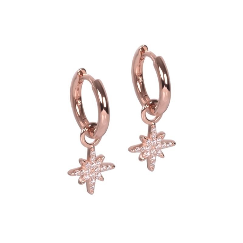 illumi-star-charm-s-earrings-19776a70.jpg Illumi Star Charm S Earrings